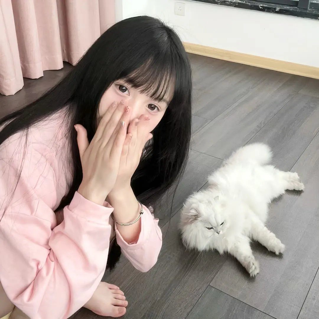 王子寻妃记2