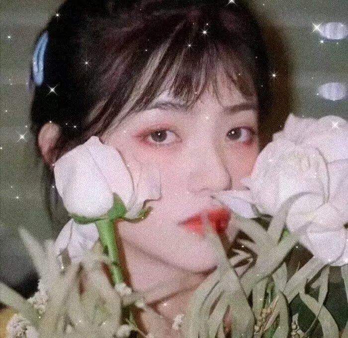 漂流人生